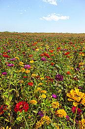 《坎巴拉太空计划》更新迎来尾声 Squad着手开发续作